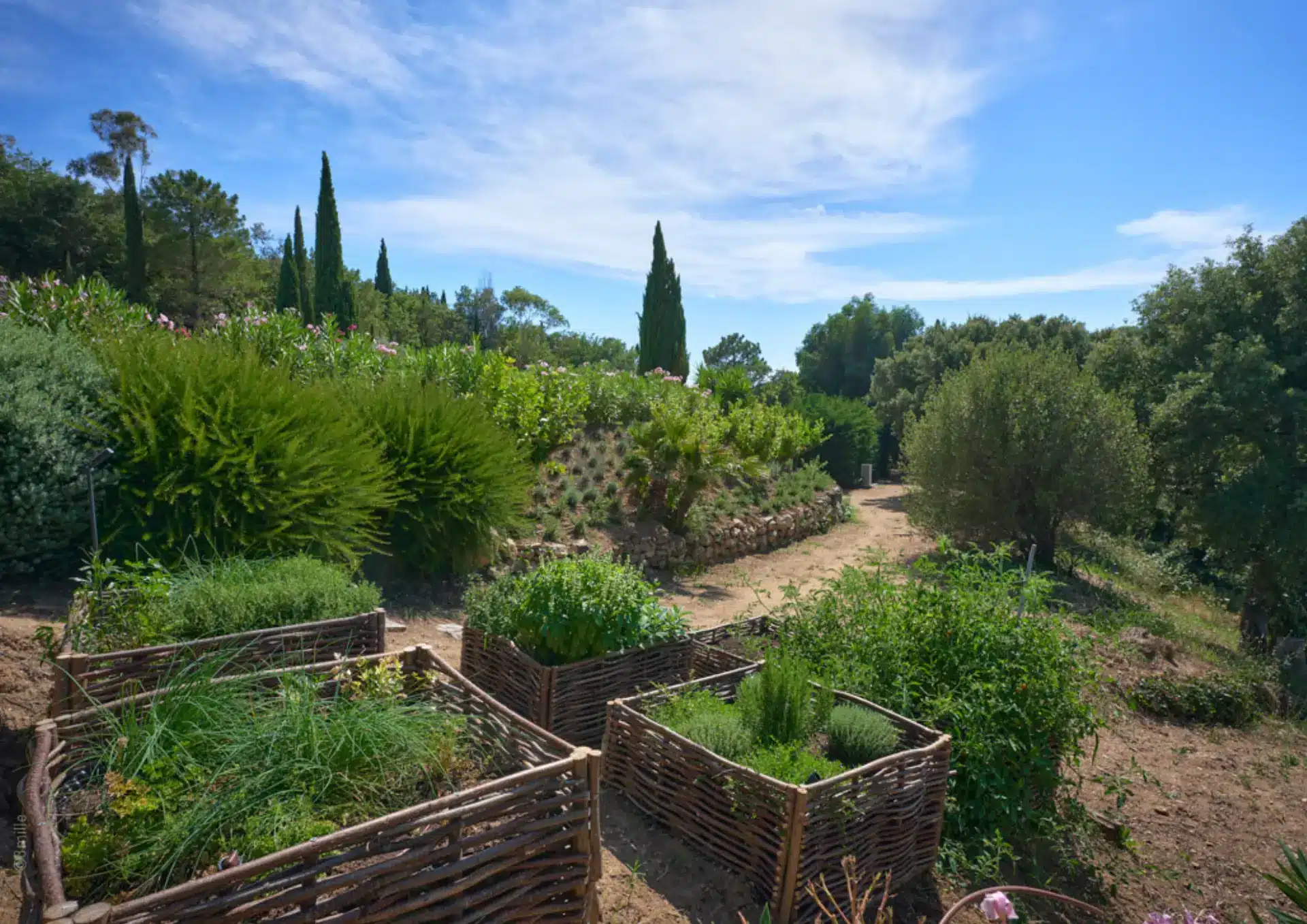 Jardin de la Villa Coup de Foudre à Grimaud, Golfe de Saint-Tropez