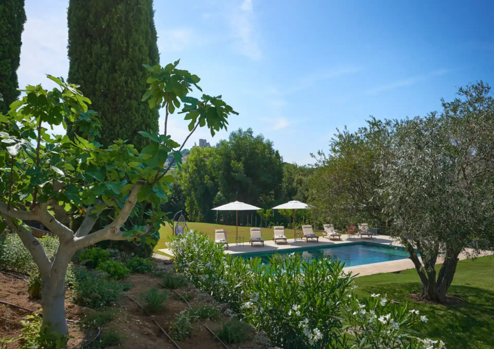 Piscine de la Villa Coup de Foudre à Grimaud, Golfe de Saint-Tropez